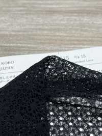 KKF5515D-15 Pizzo Elasticizzato[Tessile / Tessuto] Uni Textile Sottofoto