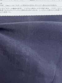 13293 Tencel (TM) Fibra Modale / Chiffon In Polvere Di Poliestere[Tessile / Tessuto] SUNWELL Sottofoto