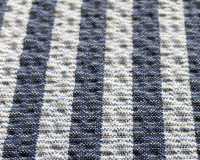 3-2538LONDON STRIPE SUBALPINO Shear Seersucker London Stripe[Tessile / Tessuto] Takisada Nagoya Sottofoto