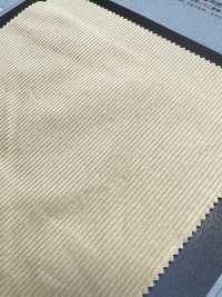 1093160 Double Woven Lightweight Sweatshirt Corduroy[Tessile / Tessuto] Takisada Nagoya Sottofoto