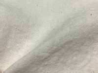 TL2525BG 1/25 Lino Lavorazione BIGGIE[Tessile / Tessuto] SHIBAYA Sottofoto