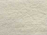 TL2525BG 1/25 Lino Lavorazione BIGGIE[Tessile / Tessuto] SHIBAYA Sottofoto