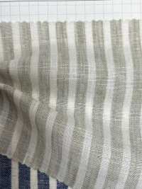 SB60560 Lino Più Lungo E Quadri A Quadri[Tessile / Tessuto] SHIBAYA Sottofoto