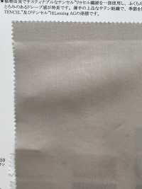 13256 80 Filo Singolo Cotone / Tencel (TM) Lyocell Fiber Fibril Satin[Tessile / Tessuto] SUNWELL Sottofoto