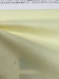 22337 60 Filo Singolo Cotone / Tencel (TM) Fibra Lyocell Drape Lawn[Tessile / Tessuto] SUNWELL Sottofoto