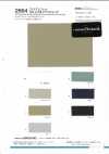 2664 Filato irregolare 16S FTY elasticizzato
