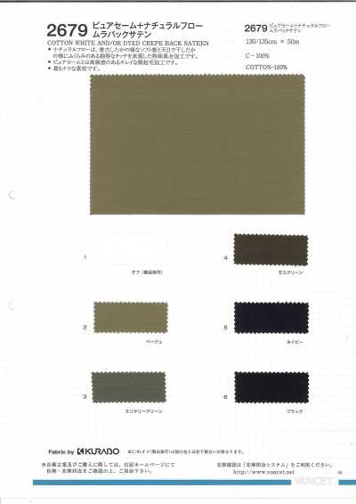2679 Raso con retro irregolare chamois puro flusso naturale