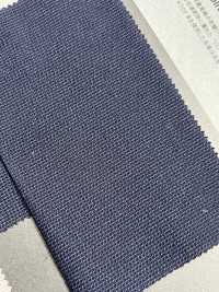 1077911 ALBINI CORCORAN X VERTICAL Surf Knit[Tessile / Tessuto] Takisada Nagoya Sottofoto