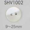 SHV1002 Bottone in conchiglia a due fori
