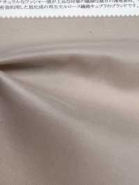 42505 Lavorazione Con Rondella In Cupra/twill Di Cotone[Tessile / Tessuto] SUNWELL Sottofoto