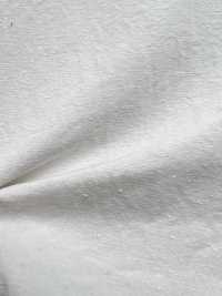 BD3028-P Cotone Biologico X Silk Nep Weather Cloth Omi Bleaching[Tessile / Tessuto] COSMO TEXTILE Sottofoto