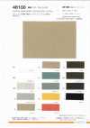 46100 Canvas cotone-lino 10S
