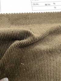 7500 16W Pantaloni Velluto A Coste[Tessile / Tessuto] Kumoi Beauty (Chubu Velveteen Velluto A Coste) Sottofoto