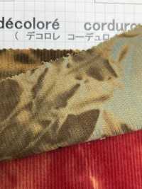 DCL758 16W Pantaloni Velluto A Coste Decolore (Mura Bleach)[Tessile / Tessuto] Kumoi Beauty (Chubu Velveteen Velluto A Coste) Sottofoto