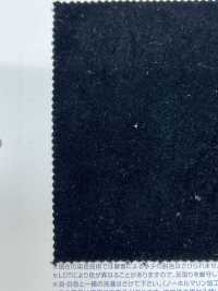 W13078 Lavorazione A Rondella Speciale In Velluto Di Cotone[Tessile / Tessuto] Kumoi Beauty (Chubu Velveteen Velluto A Coste) Sottofoto