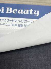 SAP3040 6oz Supima High Power Stretch Drill (3/1)[Tessile / Tessuto] Kumoi Beauty (Chubu Velveteen Velluto A Coste) Sottofoto