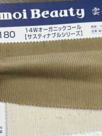 OG2180 Cotone 14W/velluto A Coste Organico[Tessile / Tessuto] Kumoi Beauty (Chubu Velveteen Velluto A Coste) Sottofoto
