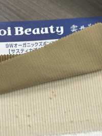 OG7080 Velluto A Coste Organico Per Pantaloni 9W[Tessile / Tessuto] Kumoi Beauty (Chubu Velveteen Velluto A Coste) Sottofoto