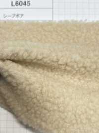 L6045 Cinghiale Di Pecora[Tessile / Tessuto] Kumoi Beauty (Chubu Velveteen Velluto A Coste) Sottofoto