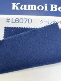 L6070 Pile PILE TERMICO[Tessile / Tessuto] Kumoi Beauty (Chubu Velveteen Velluto A Coste) Sottofoto