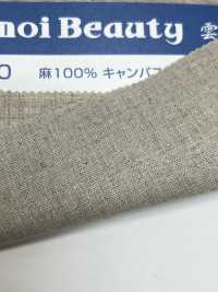 12500 100% Tela Di Lino[Tessile / Tessuto] Kumoi Beauty (Chubu Velveteen Velluto A Coste) Sottofoto
