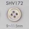 SHV172 Bottone in madreperla a 4 fori con bordo
