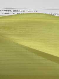 RP2003 Organza Antistrappo[Tessile / Tessuto] Suncorona Oda Sottofoto