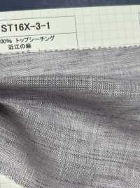 ST16X-3-1 100% Lino Loomstate Lino Ohmi[Tessile / Tessuto] Kumoi Beauty (Chubu Velveteen Velluto A Coste) Sottofoto