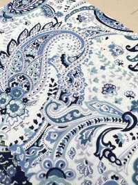 4227 Tessuto A Trama Larga, Elegante, Vintage, Motivo Paisley Grande[Tessile / Tessuto] VANCET Sottofoto