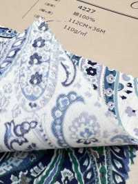 4227 Tessuto A Trama Larga, Elegante, Vintage, Motivo Paisley Grande[Tessile / Tessuto] VANCET Sottofoto
