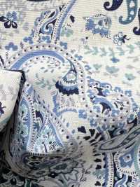 4227 Tessuto A Trama Larga, Elegante, Vintage, Motivo Paisley Grande[Tessile / Tessuto] VANCET Sottofoto