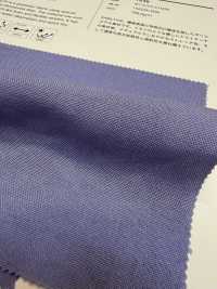 7638 Elaborazione EARLY® Oxford[Tessile / Tessuto] VANCET Sottofoto
