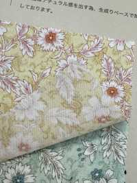 83039 Collezione SEVENBERRY® Lawn Nostalgia Foglie Di Scarto Naturali Hana Sarasa[Tessile / Tessuto] VANCET Sottofoto