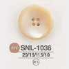 SNL1036 Bottone a 4 fori in conchiglia Takase