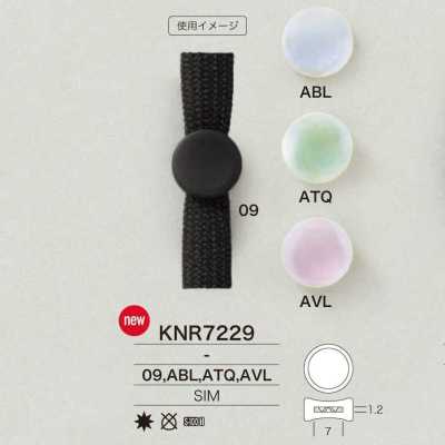 Codice hardware KNR7229