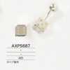AXP5687 Polsini in ottone