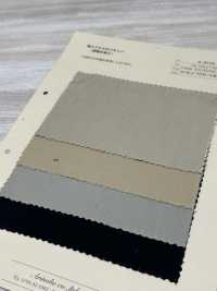 A-8134 Gabardine Di Cotone Estere 80/2 (Super Idrorepellente)[Tessile / Tessuto] ARINOBE CO., LTD. Sottofoto