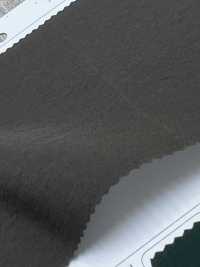 LIG6087-RE C/RECYCLE Ny Hyde Taffetà[Tessile / Tessuto] Linguaggio (Kuwamura Textile) Sottofoto