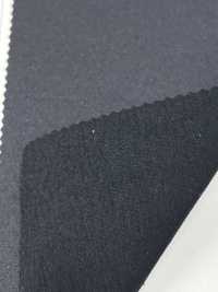 LIG6243 Nylon Satinato[Tessile / Tessuto] Linguaggio (Kuwamura Textile) Sottofoto