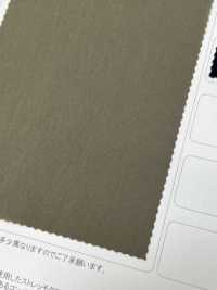 LIG6487 TAFFETÀ ELASTICIZZATO COMPATTO[Tessile / Tessuto] Linguaggio (Kuwamura Textile) Sottofoto