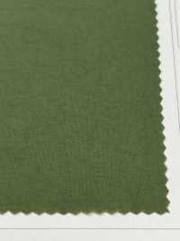 LIG6650 Taffetà Leggero Ny Taslan[Tessile / Tessuto] Linguaggio (Kuwamura Textile) Sottofoto