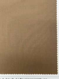 LIG8064 Tecna Cotton 80/1 Tipo Strada[Tessile / Tessuto] Linguaggio (Kuwamura Textile) Sottofoto