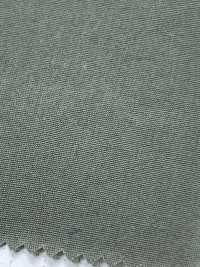 SB12166 Finitura Vintage In Tessuto Leggero GIZA[Tessile / Tessuto] SHIBAYA Sottofoto
