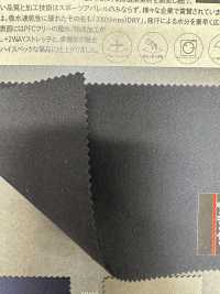 3-66343 Forma Schoeller[Tessile / Tessuto] Takisada Nagoya Sottofoto