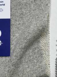 FJ940029 26/- F.EARTH Fleece P. Tintura Prodotto, Sottosbiancato[Tessile / Tessuto] Fujisaki Textile Sottofoto