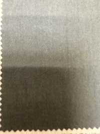 PJT4000 Cotone Organico Superiore 60[Tessile / Tessuto] Fujisaki Textile Sottofoto