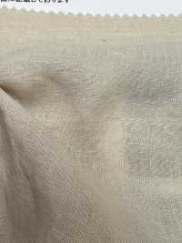 RN2510 60 Platt Air In Lino Europeo[Tessile / Tessuto] KOYAMA Sottofoto