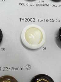TY2002 Bottoni In Resina Di Poliestere[Pulsante] DAIYA BUTTON(DAIYA BUTTON) Sottofoto