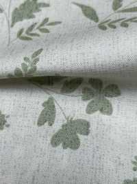 W8081 Arpe SEVENBERRY® Oxford Wide Width[Tessile / Tessuto] VANCET Sottofoto