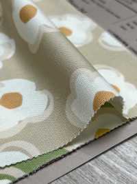 W8082 SEVENBERRY® Oxford Wide Wide Width Dot[Tessile / Tessuto] VANCET Sottofoto